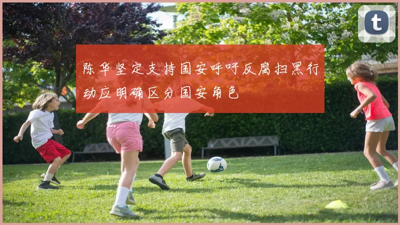 陈华坚定支持国安呼吁反腐扫黑行动应明确区分国安角色