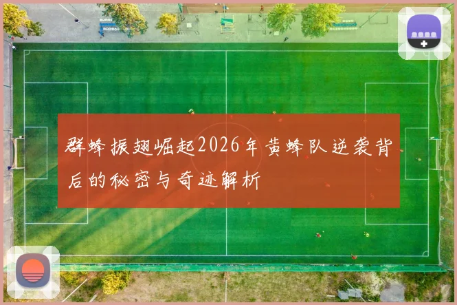 群蜂振翅崛起2026年黄蜂队逆袭背后的秘密与奇迹解析