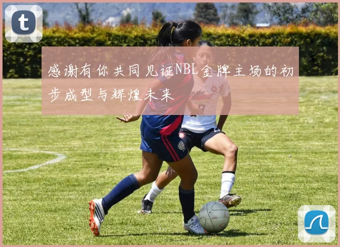 感谢有你共同见证NBL金牌主场的初步成型与辉煌未来