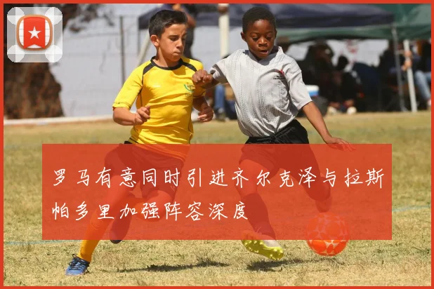 罗马有意同时引进齐尔克泽与拉斯帕多里加强阵容深度